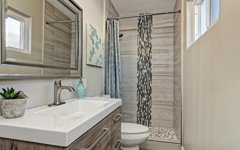 genMid.180066473_17_0