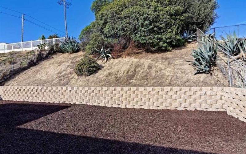 genMid.180066473_23_0