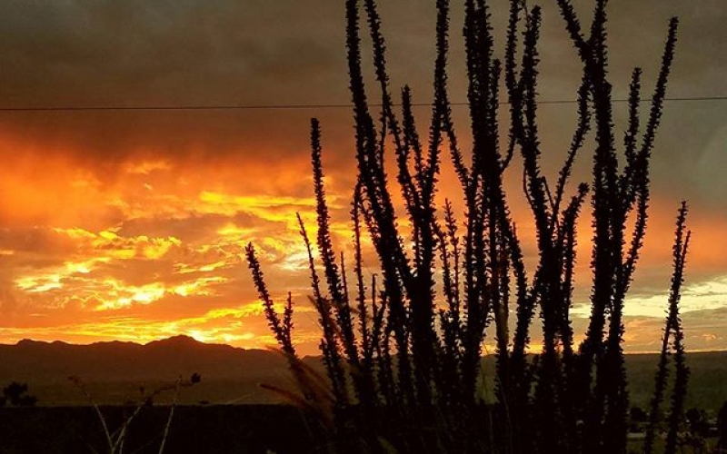 14566608_1745625369096854_6434651085821968384_n