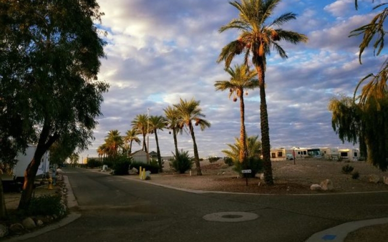 14639818_1461102787239784_5418719383727625969_n