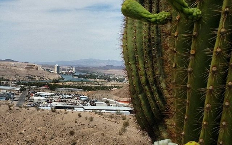 14719709_606520186221084_5081087946304520192_n