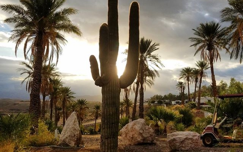 15048179_335561216817387_1843695474373033984_n