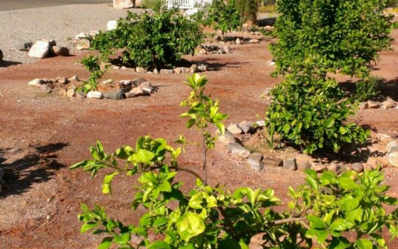 76564_530741030275969_1881718649_n