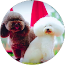 wk geng profile picture